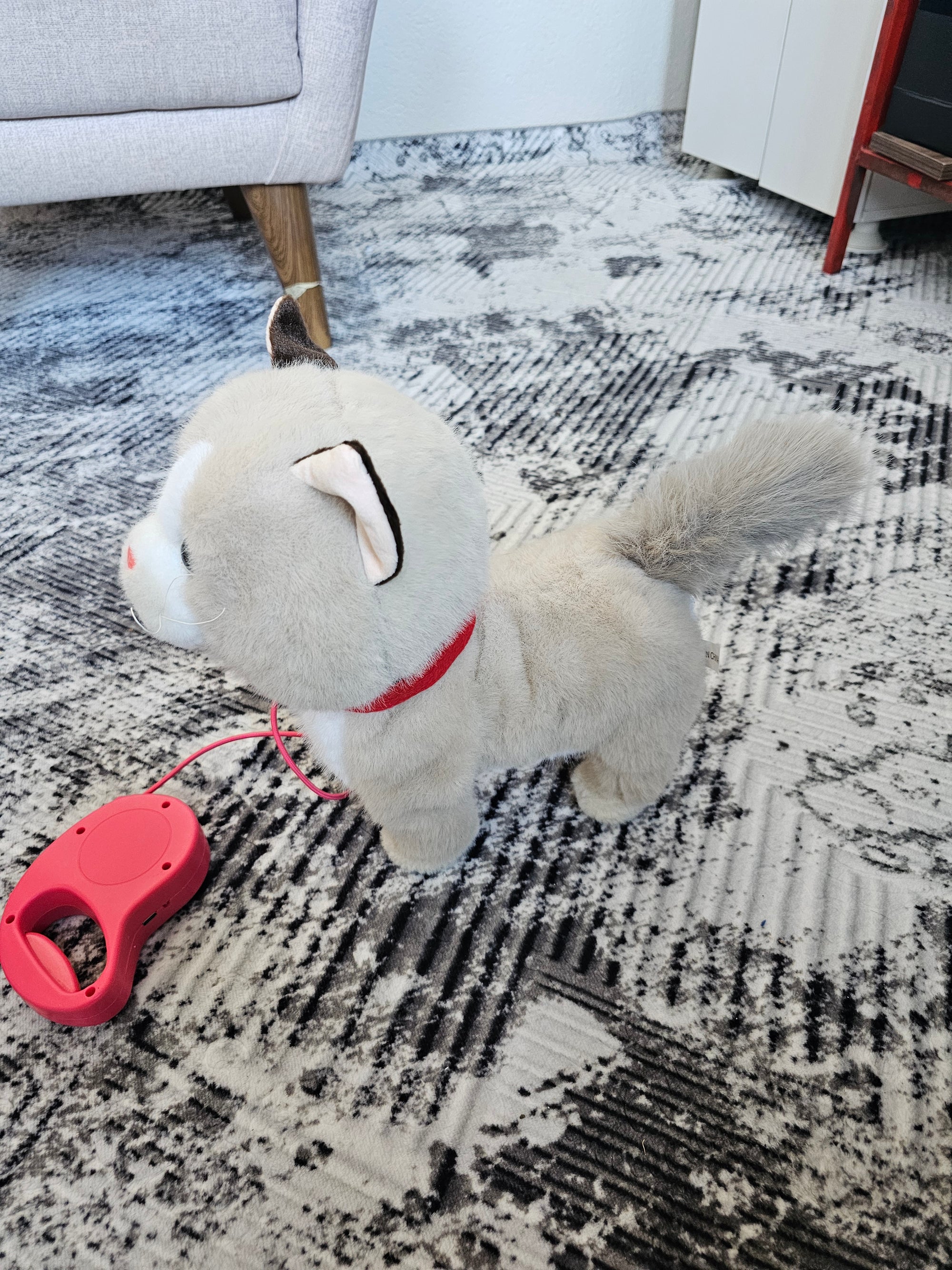 Dev Boy Konuşan, Hareketli, Müzikli Peluş Kedi 🐱