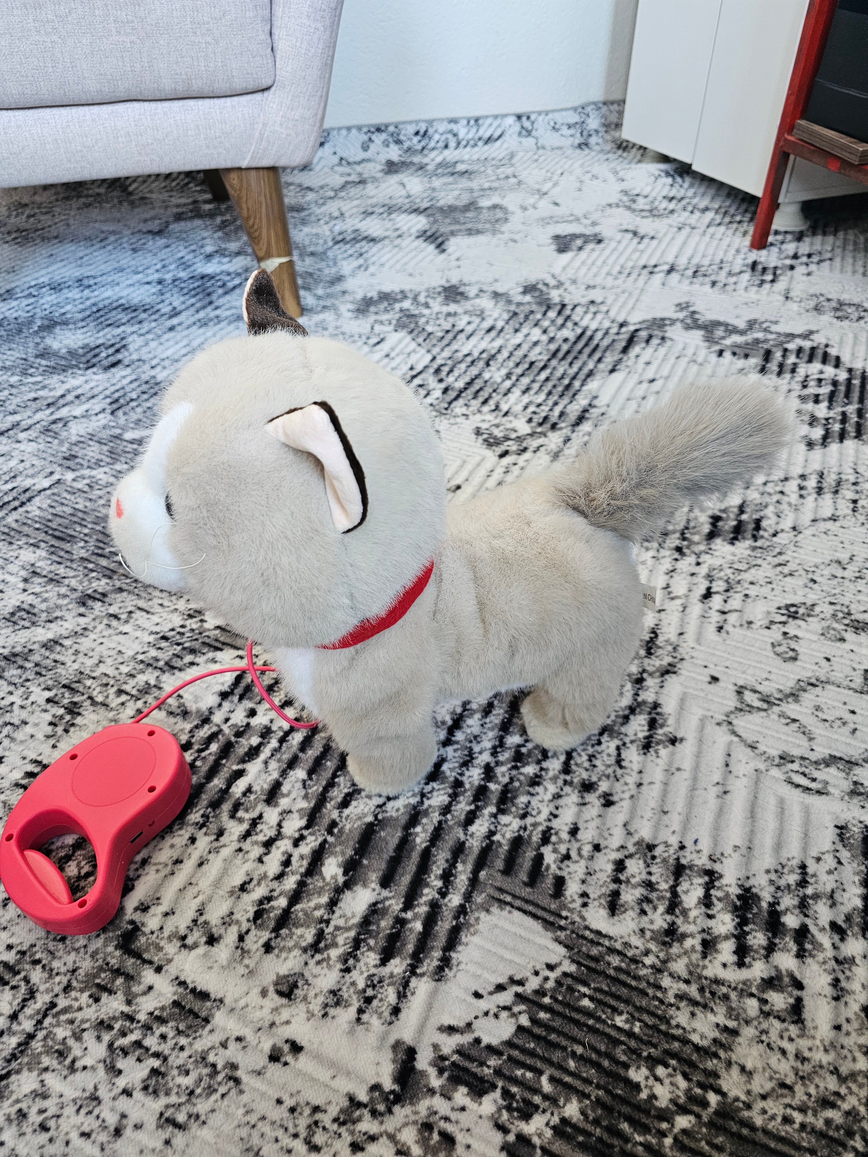 Dev Boy Konuşan, Hareketli, Müzikli Peluş Kedi 🐱