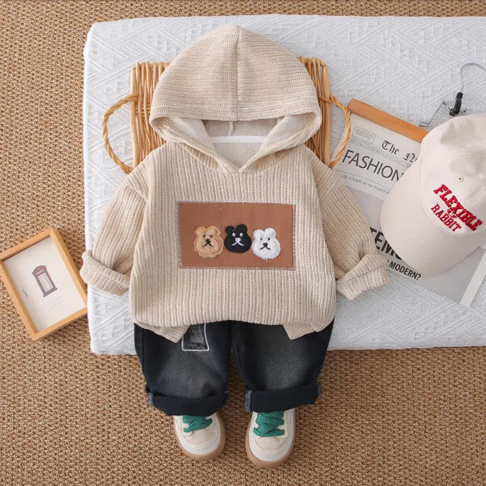 1-5 Yaş Erkek Çocuk Kapşonlu Çocuk Takımı