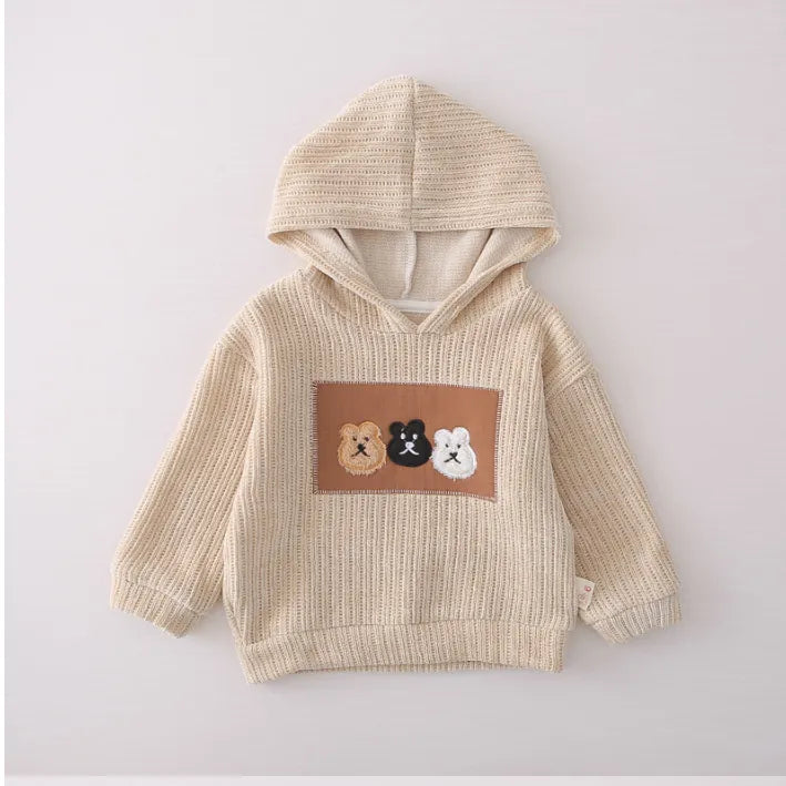 1-5 Yaş Erkek Çocuk Kapşonlu Çocuk Takımı