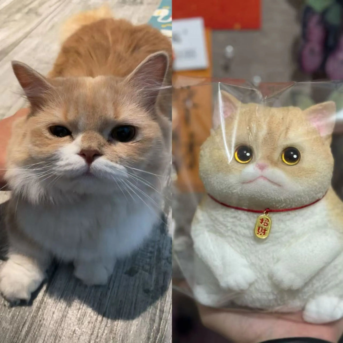 Stres Giderici-Kendin Yap Tombul Kedi Seti