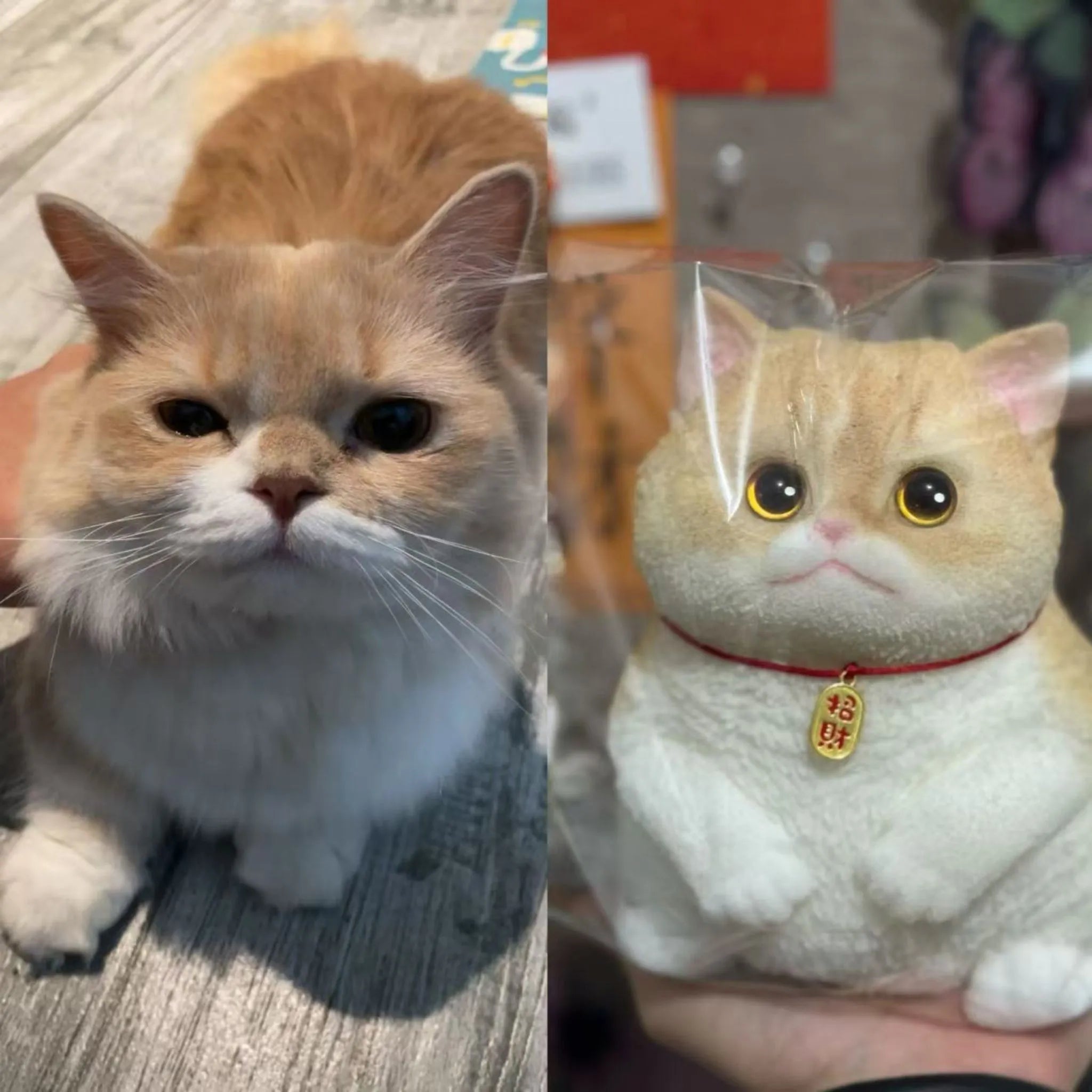 Stres Giderici-Kendin Yap Tombul Kedi Seti