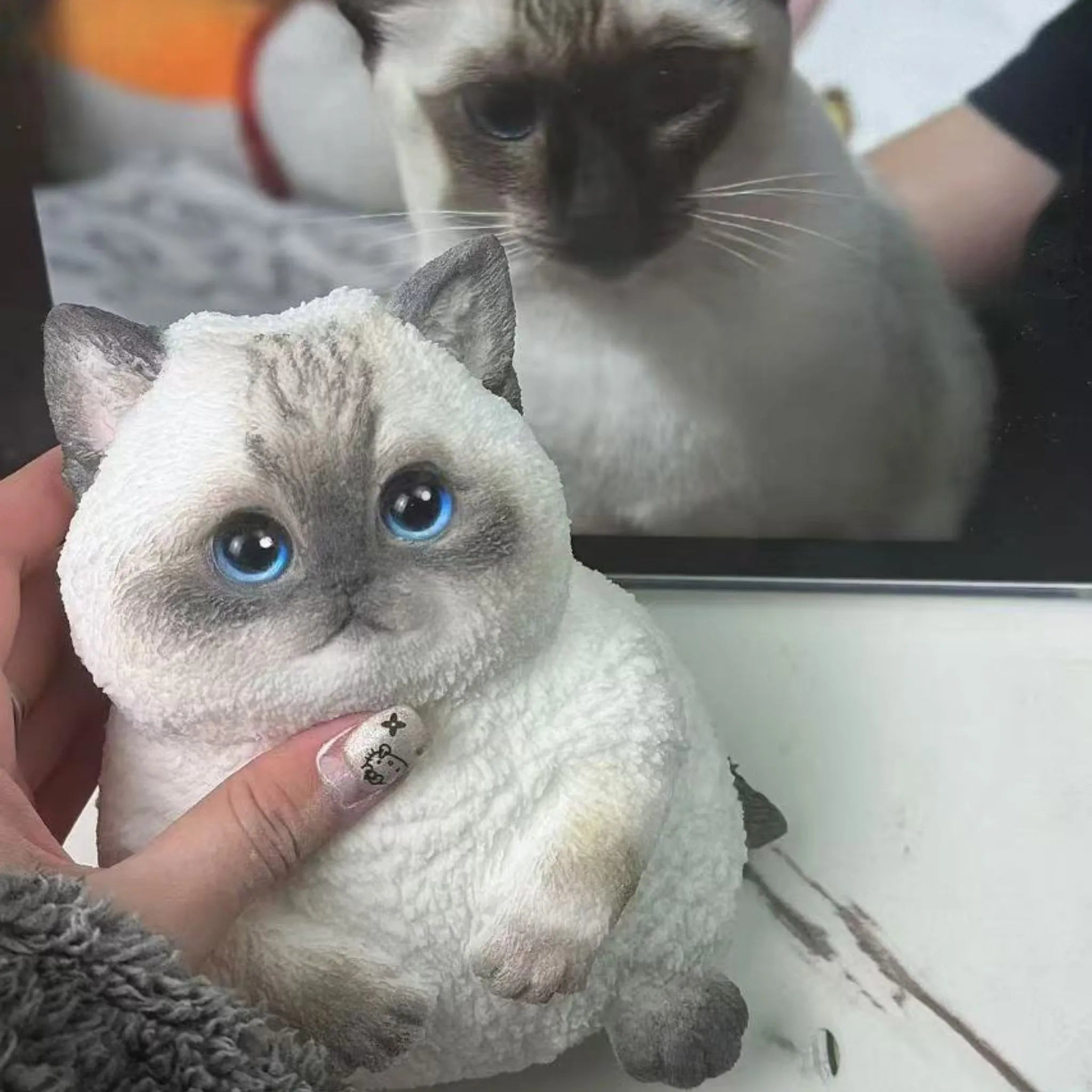 Stres Giderici-Kendin Yap Tombul Kedi Seti