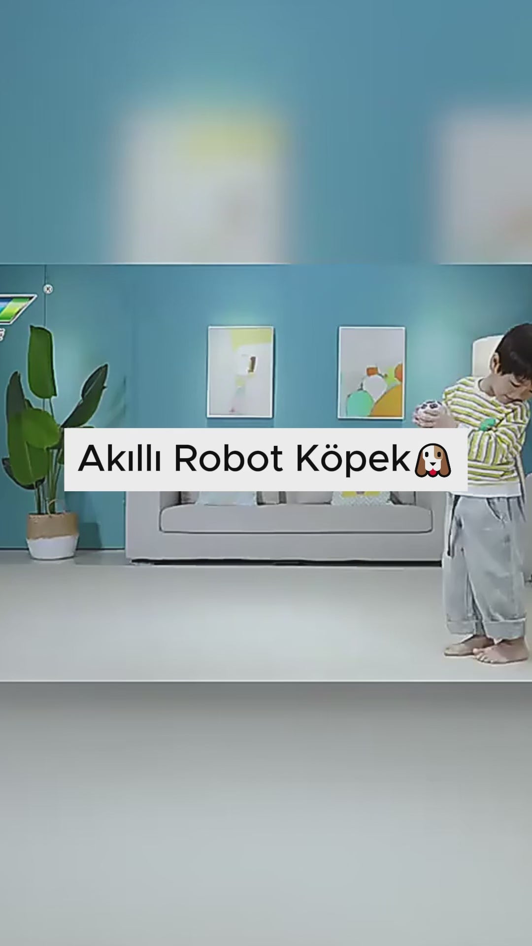 Cocumix K22 Teknolojik Robotik Köpek